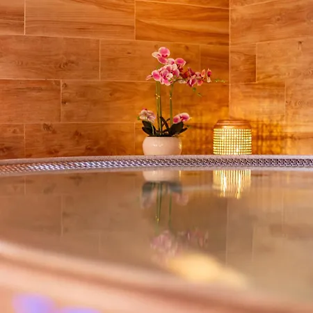 Ξενοδοχείο Hotel Snezne