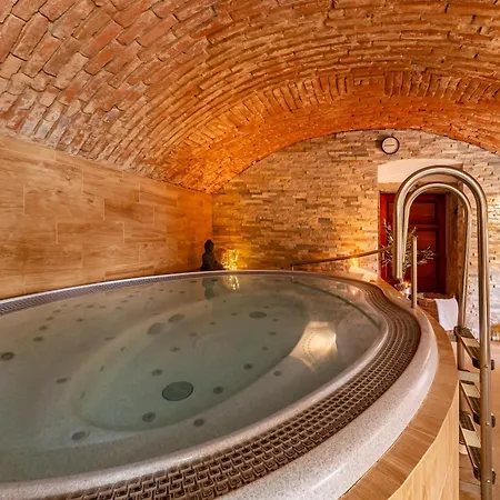 Hotel Snezne