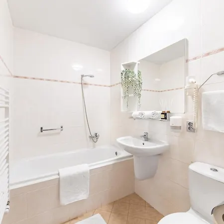 Hotel Snezne 3* Sněžné
