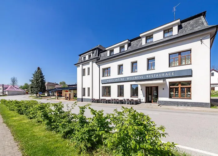 Hotel Snezne Sněžné