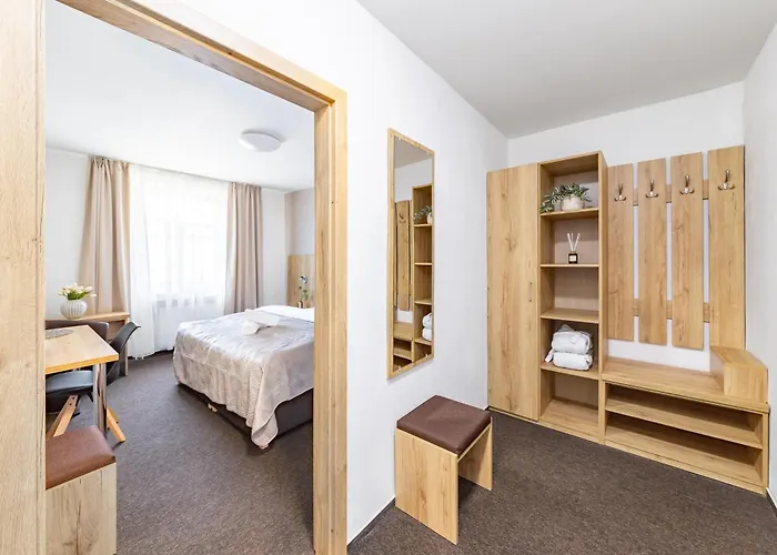 Hotel Snezne 酒店 3*