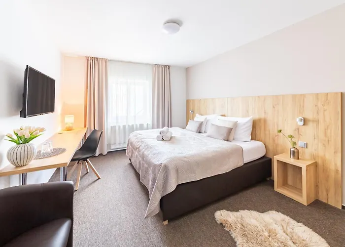 Hotel Snezne Sněžné
