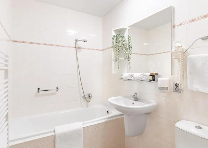 Hotel Snezne 3* Sněžné