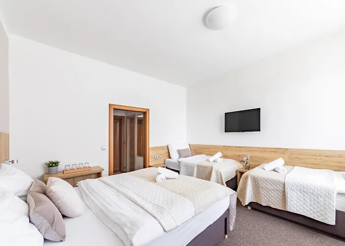 Hotel Snezne 酒店 Sněžné